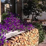 Restaurant Fruehlingsgarten Hotel 3*