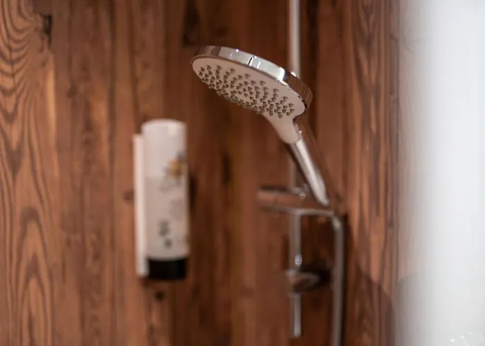 Otel Restaurant Fruehlingsgarten 3*