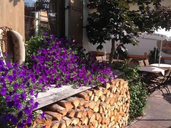 Restaurant Fruehlingsgarten Otel 3*